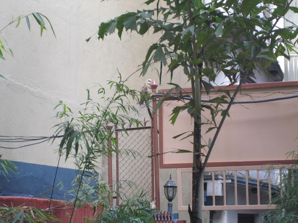 Tasi Dhargey Inn Kathmandu Luaran gambar
