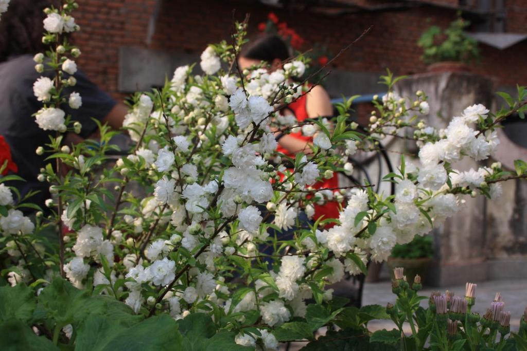 Tasi Dhargey Inn Kathmandu Luaran gambar